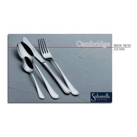 12 Cucchiaini Caffè Cambridge Salvinelli | DAC Forniture