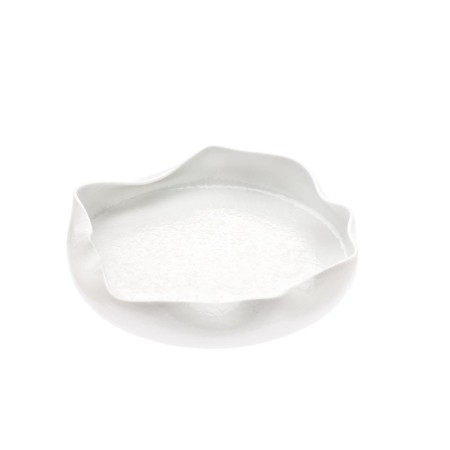 Piatto Ciotola gourmet piega interna cm. 24x4 Linea Diva Sumisura - Royale